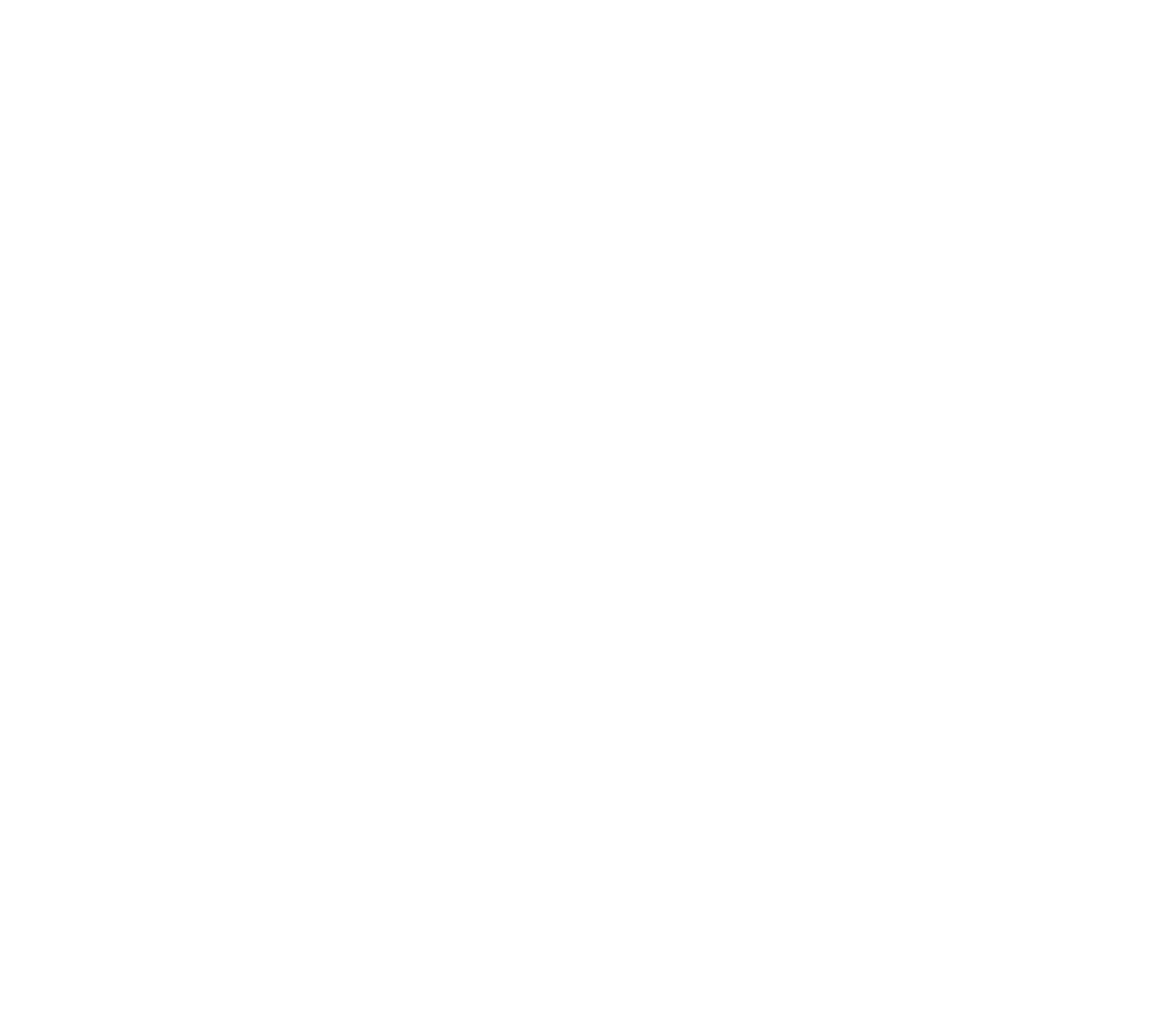 logo windofa